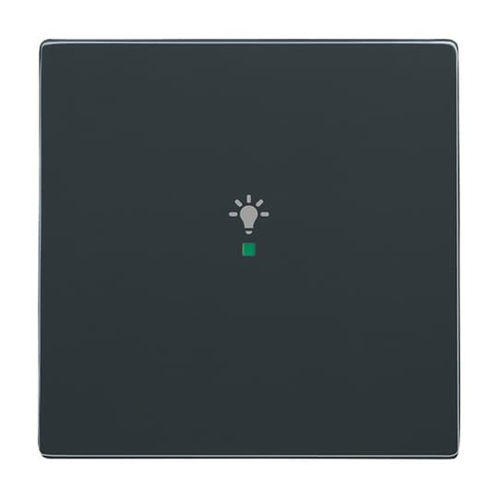 Busch-Jaeger Wippe 6231-10-81 Nr. 2CKA006220A0035