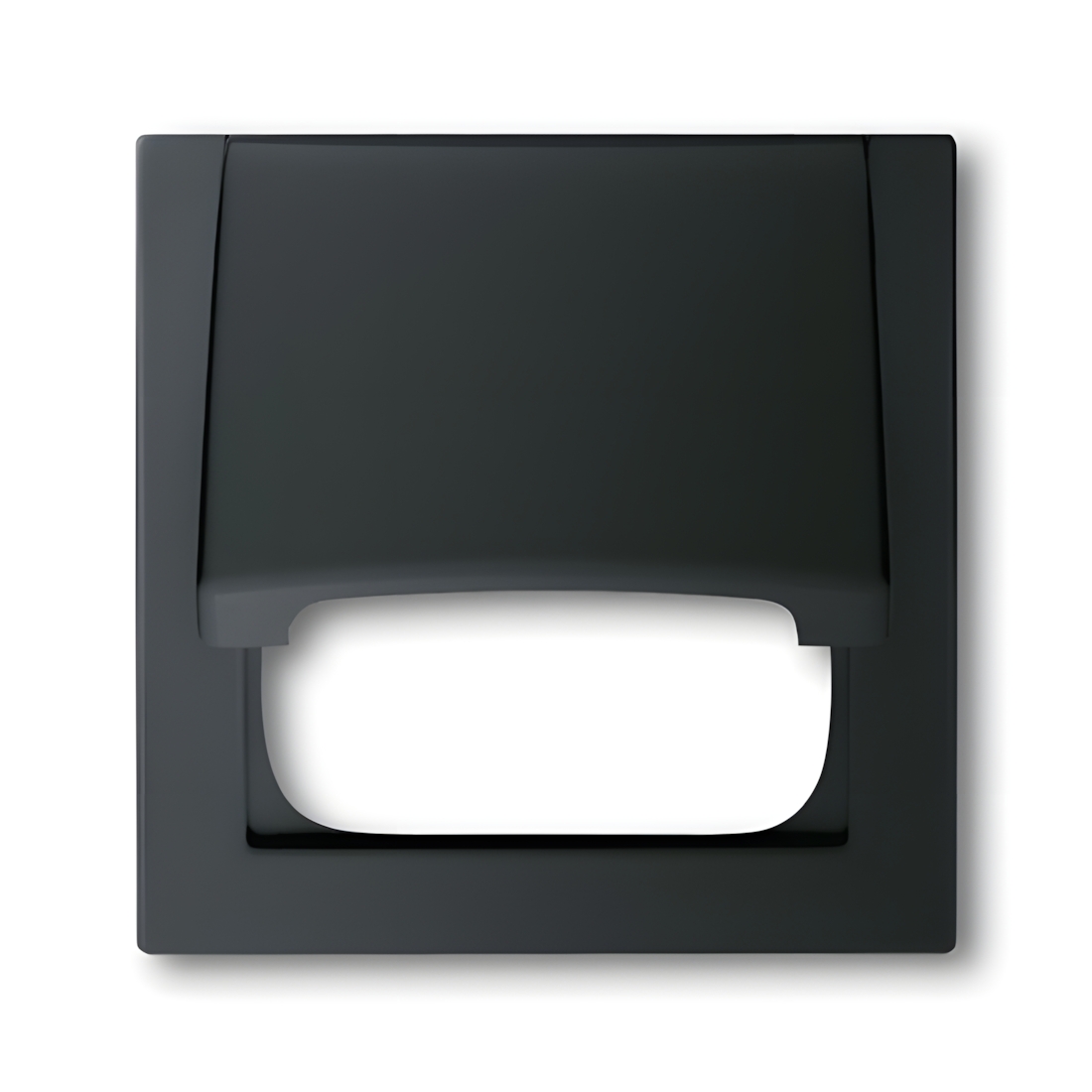 Busch-Jaeger Zentralscheibe 1746-775 Nr. 2CKA001753A0142