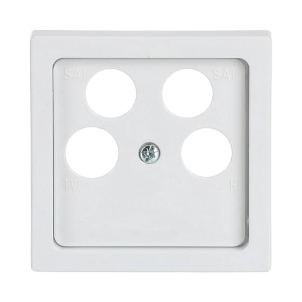 Busch-Jaeger Zentralscheibe 1743/10-04-84 Nr. 2CKA001724A4368