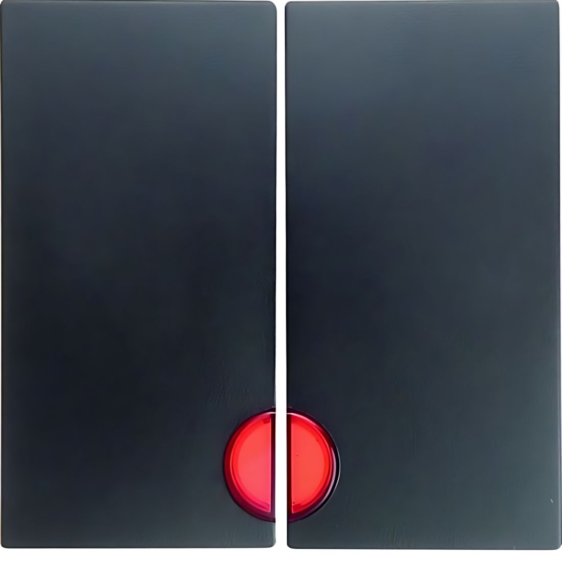 Berker Wippen 16271606