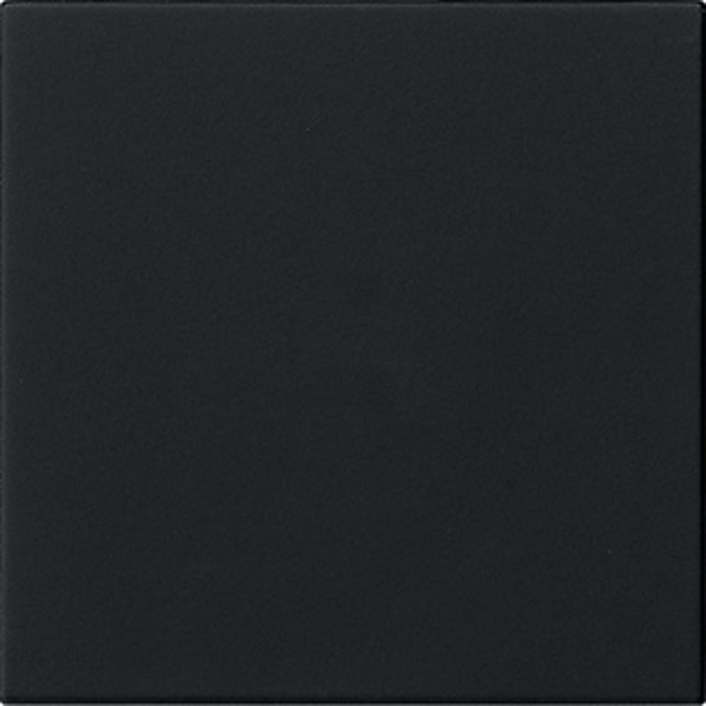 Gira Wippe 1fach 5372005