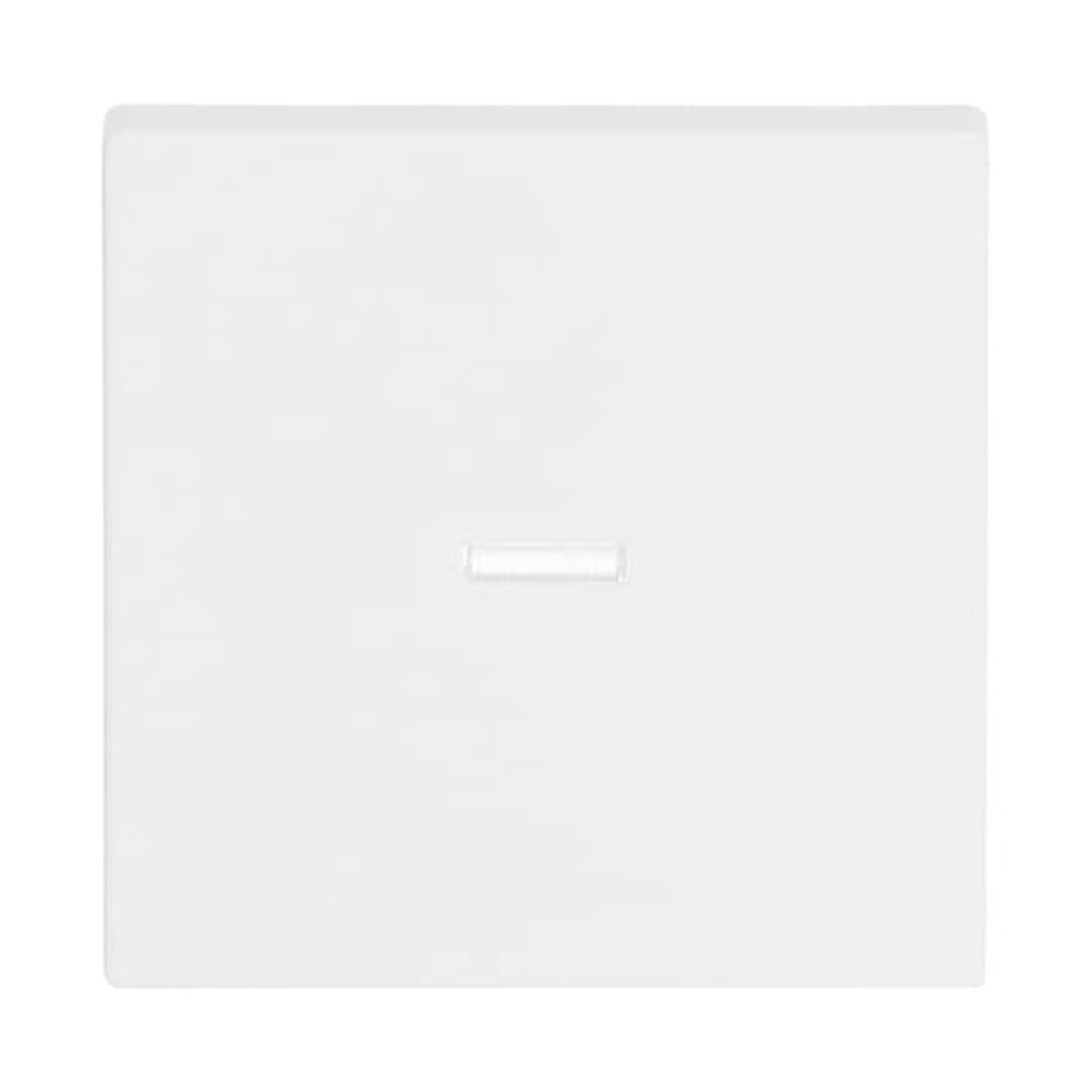 Busch-Jaeger Wippe 1789 N-884 Nr. 2CKA001751A3153