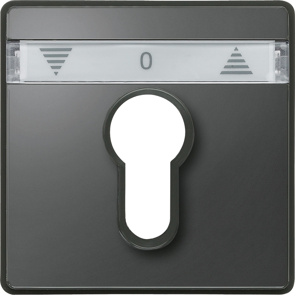 Merten Zentralplatte 348214