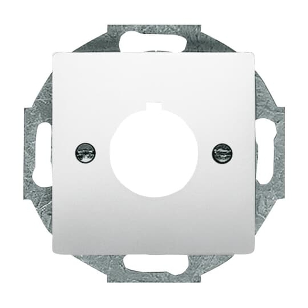 Busch-Jaeger Zentralscheibe 2533-866 Nr. 2CKA001724A4270