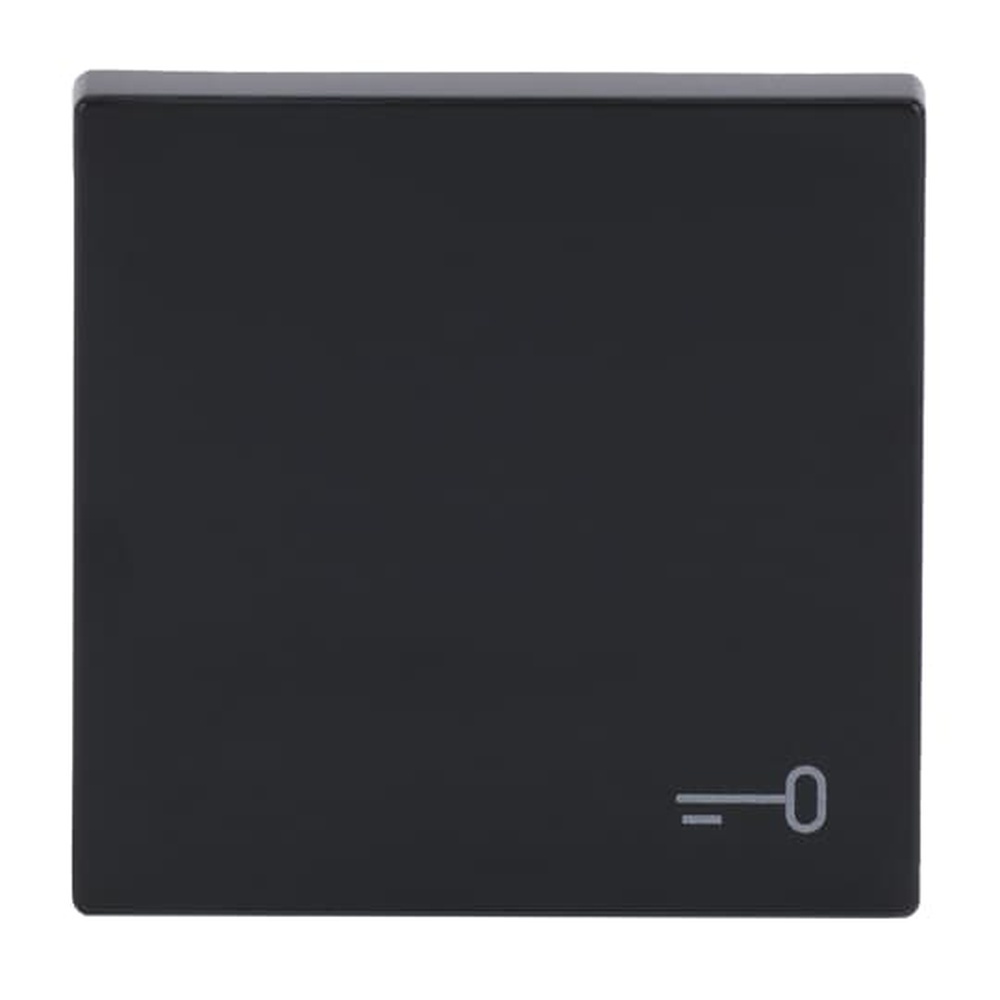 Busch-Jaeger Wippe 2520 TR-81 Nr. 2CKA001751A3196