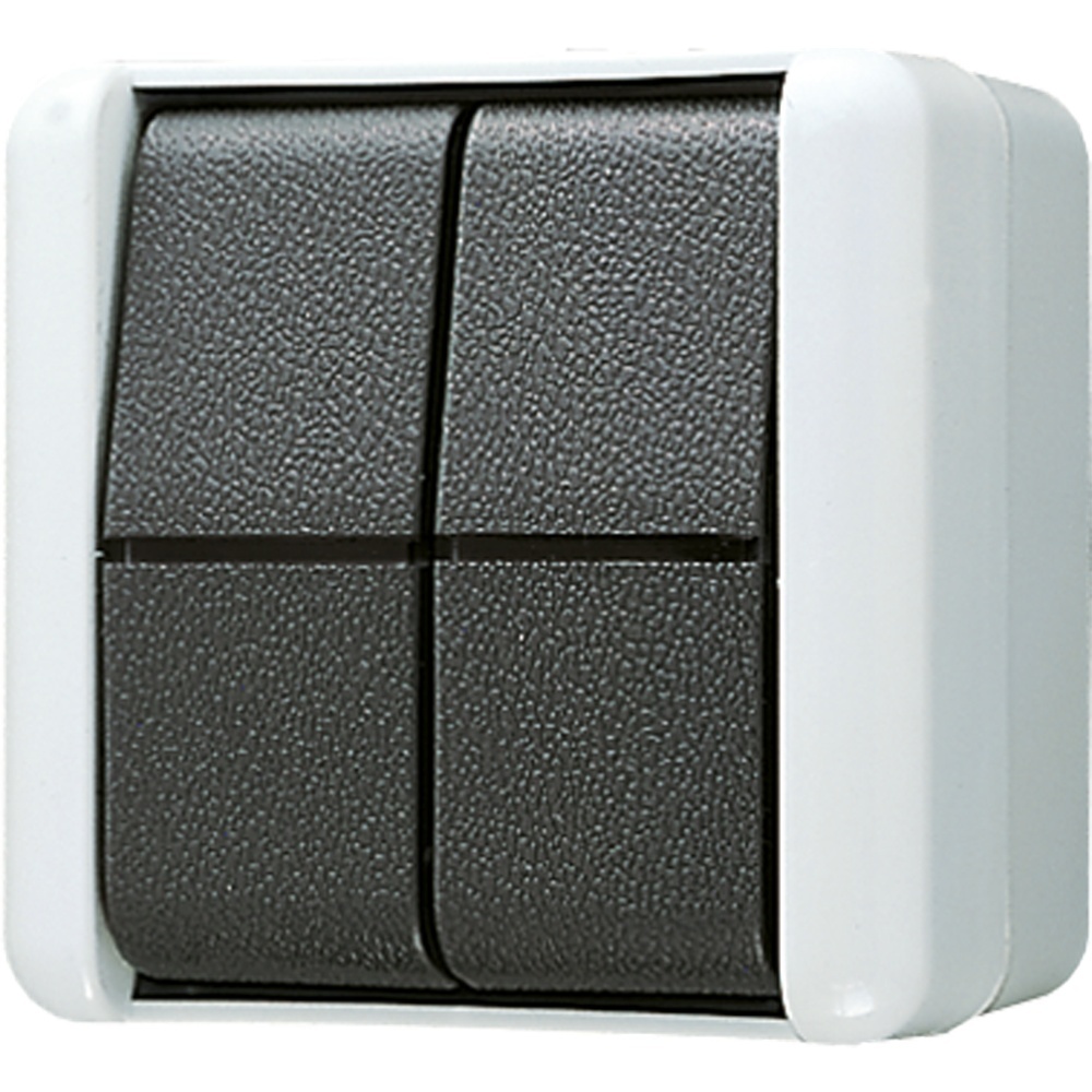 Jung Wippschalter 805 W