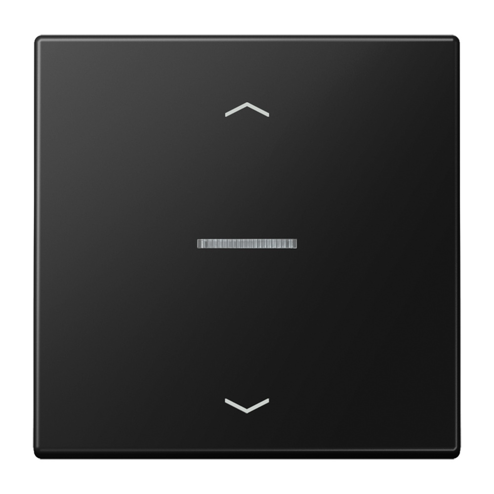 Jung JUNG HOME Taster BTLS17101PSWM