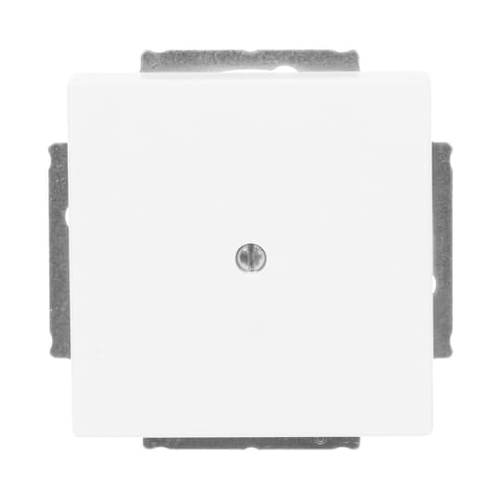 Busch-Jaeger Blindzentralscheibe 1742-884 Nr. 2CKA001710A3873