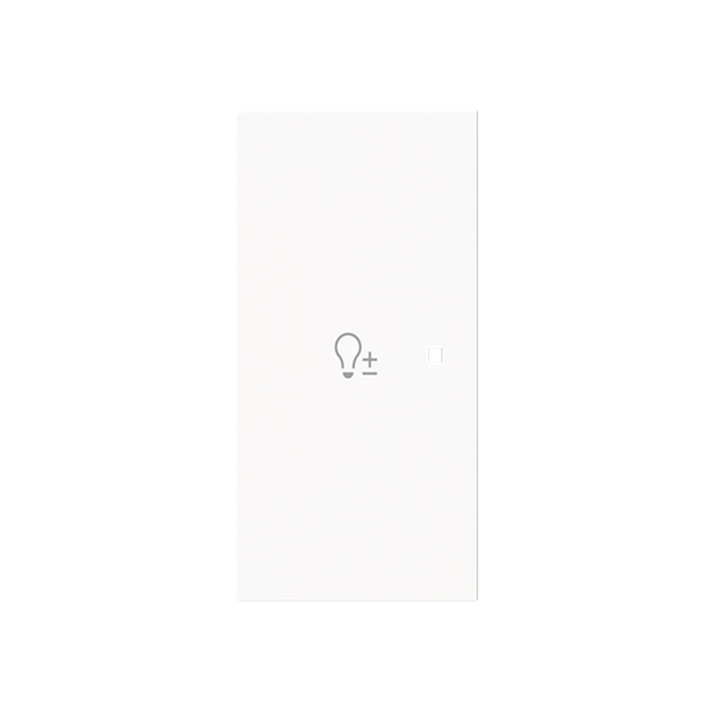 Busch-Jaeger Wippe 6234-21-44M Typ 2CKA006220A0957