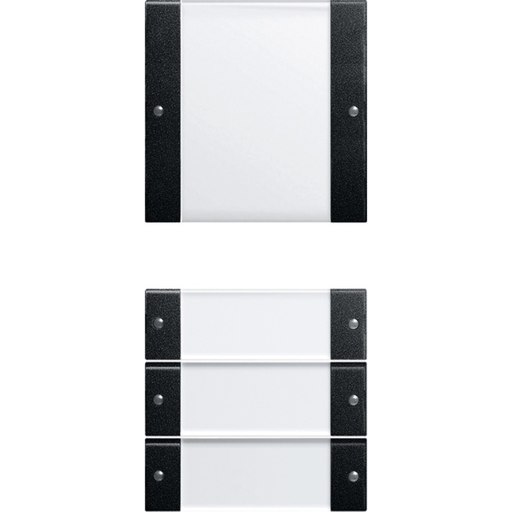 Gira Wippenset 2134005