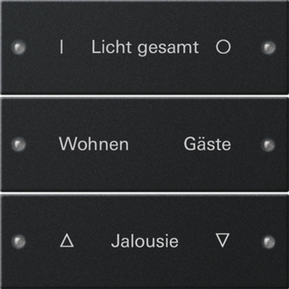 Gira Wippenset 2203005