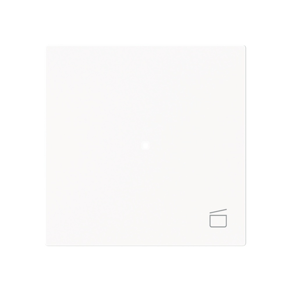 Busch-Jaeger Wippe 6233-10-44M Typ 2CKA006220A0941