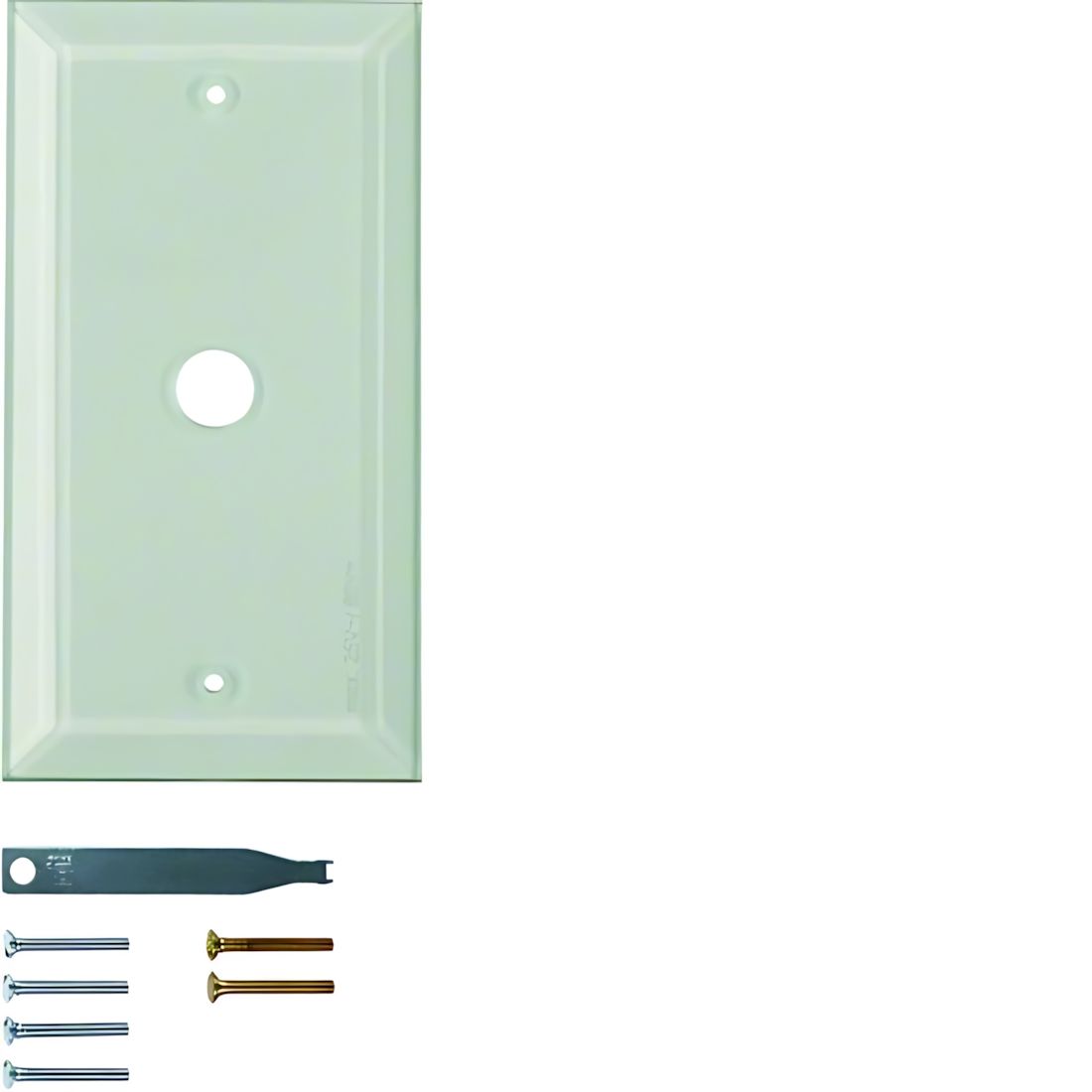 Berker Glasabdeckplatte 1311