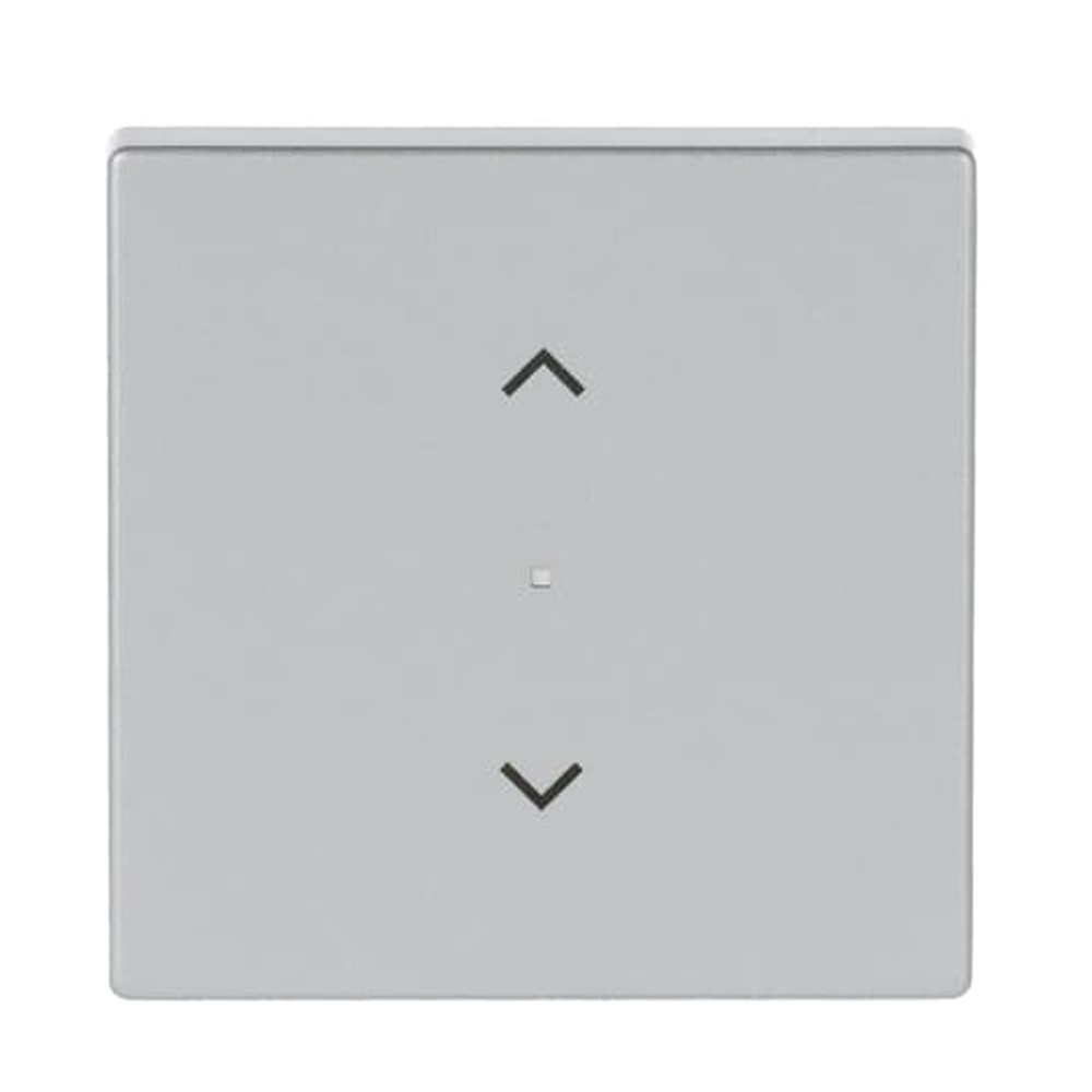 Busch-Jaeger Wippe 6232-10-83 Nr. 2CKA006220A0039