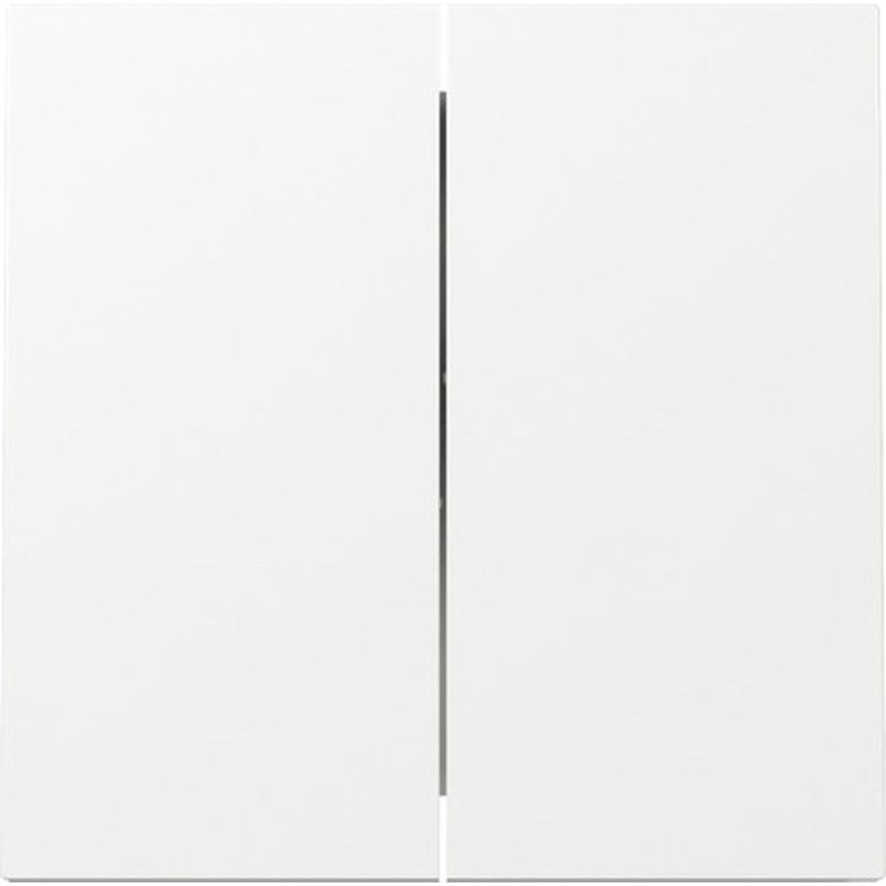 Gira Wippe 2fach 329570