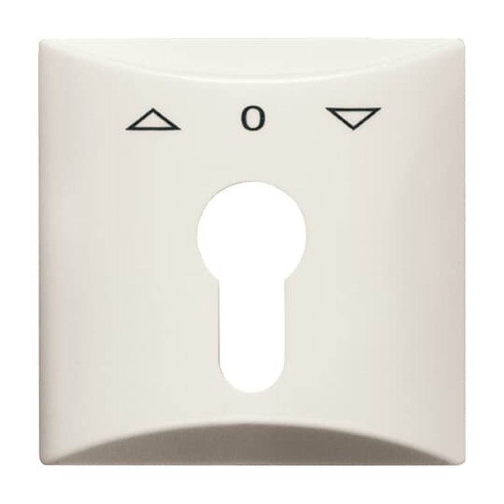 Busch-Jaeger Zentralscheibe 2155 PZ-32 Nr. 2CKA001710A2231