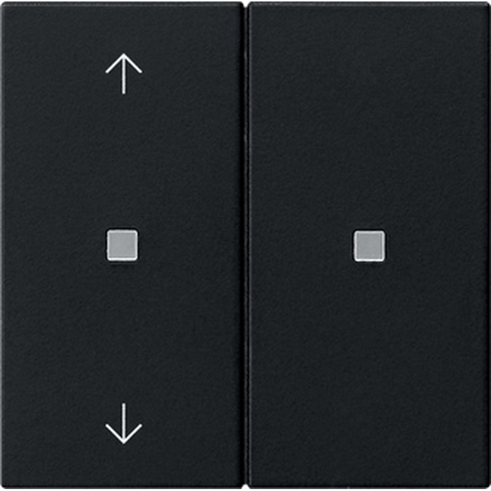 Gira Bedienaufsatz 2fach RF 5108005