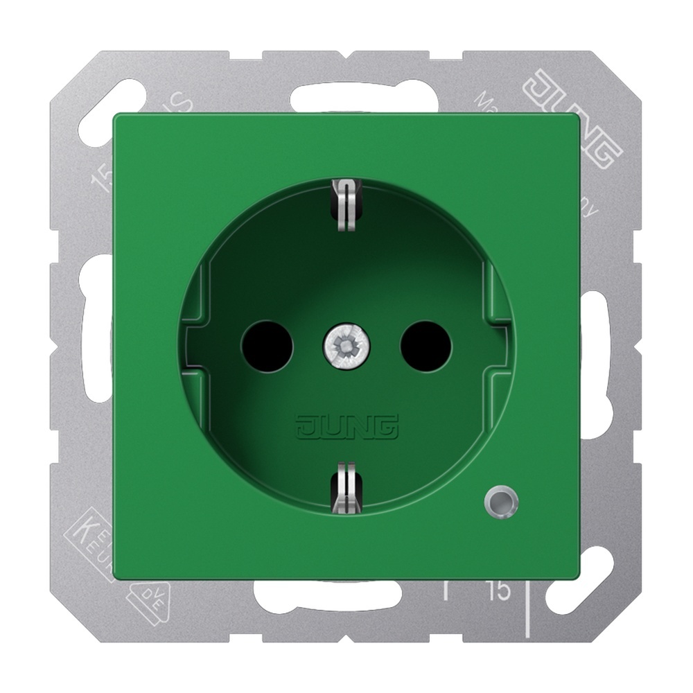 Jung Schutzkontakt Steckdose ABA 1520 BFKO GN