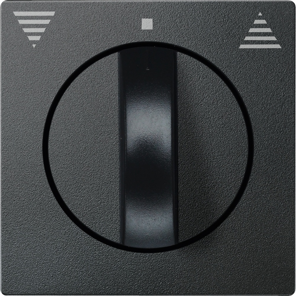 Merten Zentralplatte 569814