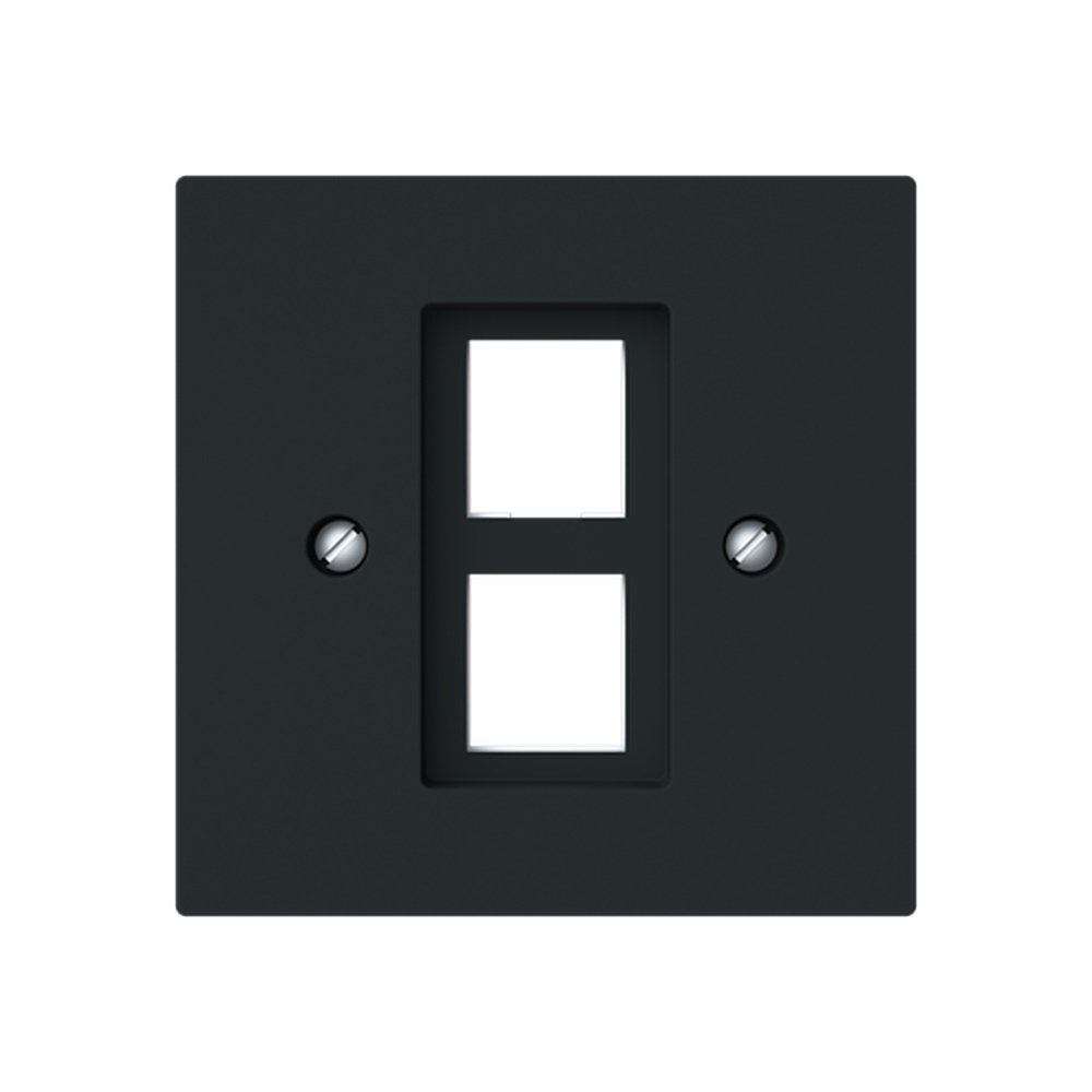 Busch-Jäger Zentralscheibe 2561-02-45M Nr. 2CKA001753A9929