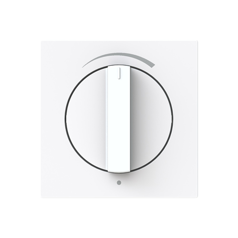 Busch-Jäger Zentralscheibe 1740 DR/03-44G Nr. 2CKA001710A4137