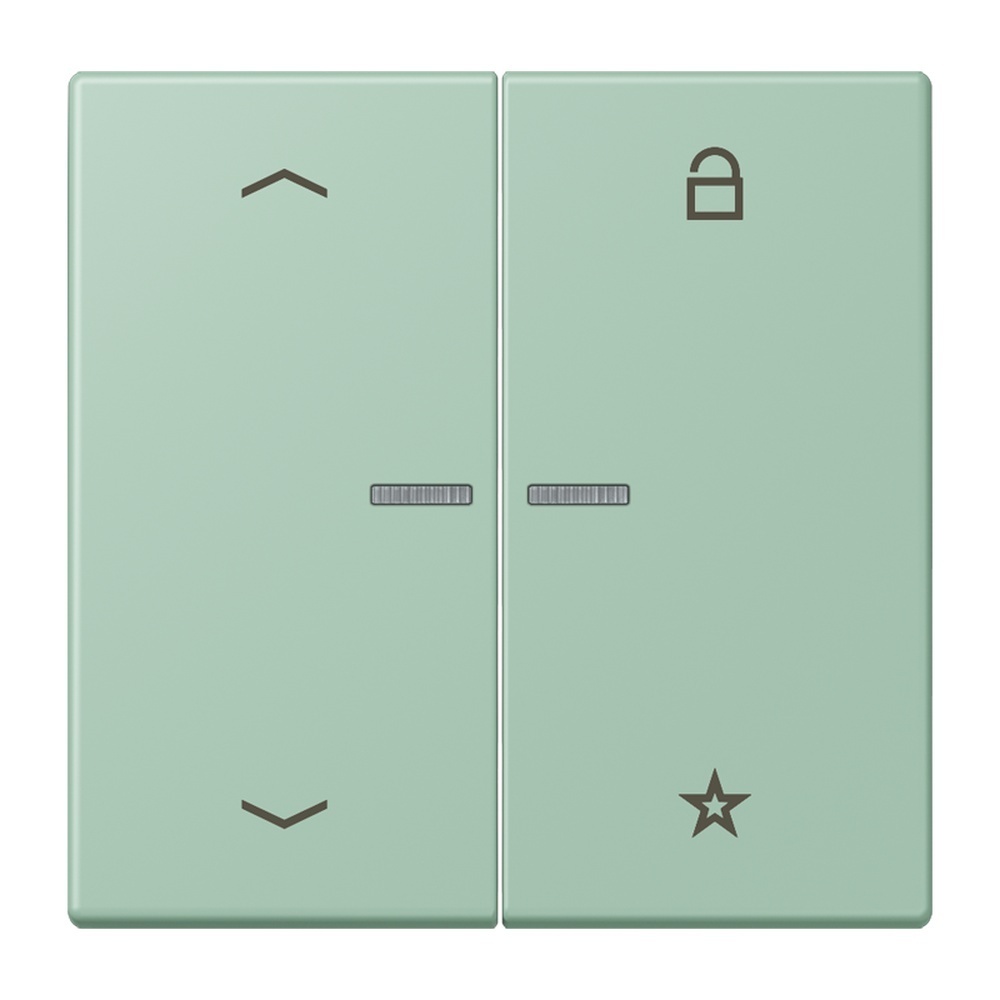 Jung Taster FMLC1701P217