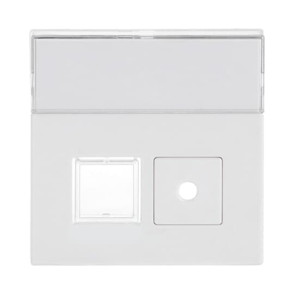 Busch-Jaeger Zentralscheibe 1572 CN-84 Nr. 2CKA001582A0348