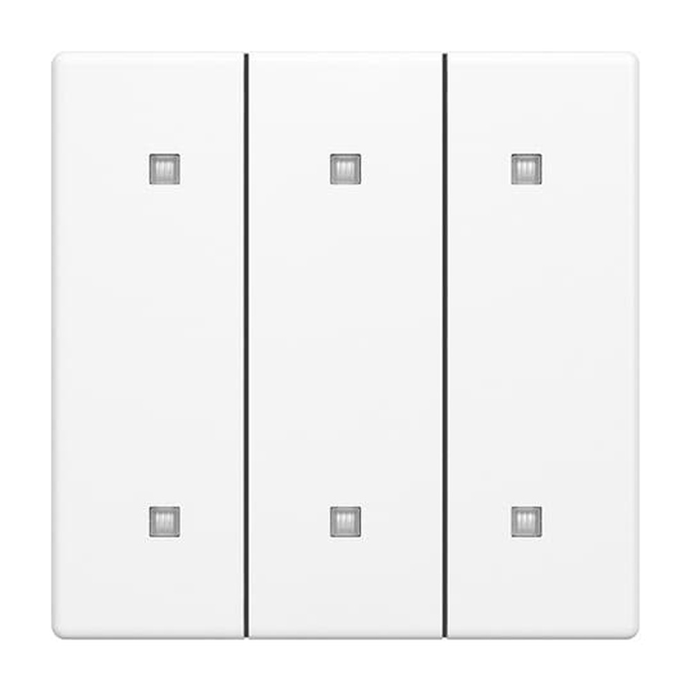 Busch-Jaeger Wippe Elektroniktaster 3fach 2570-30-884 Nr. 2CKA001751A3282