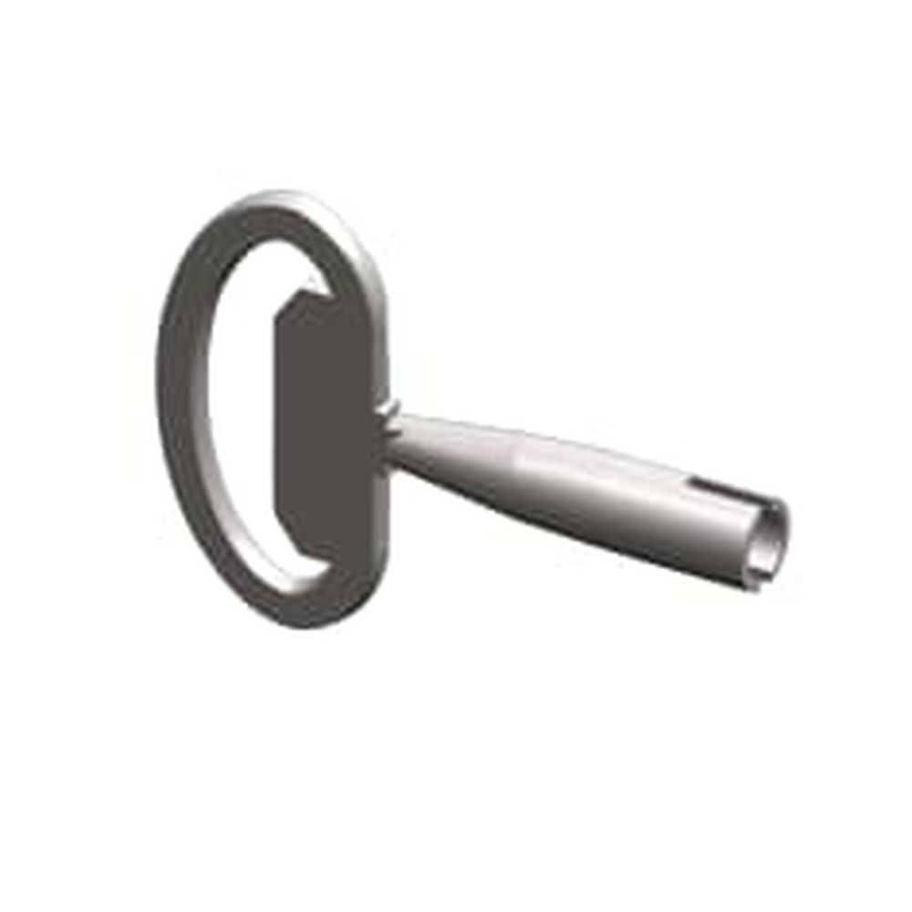 Striebel & John Schlüssel 2CPX060665R9999 Typ ZH165