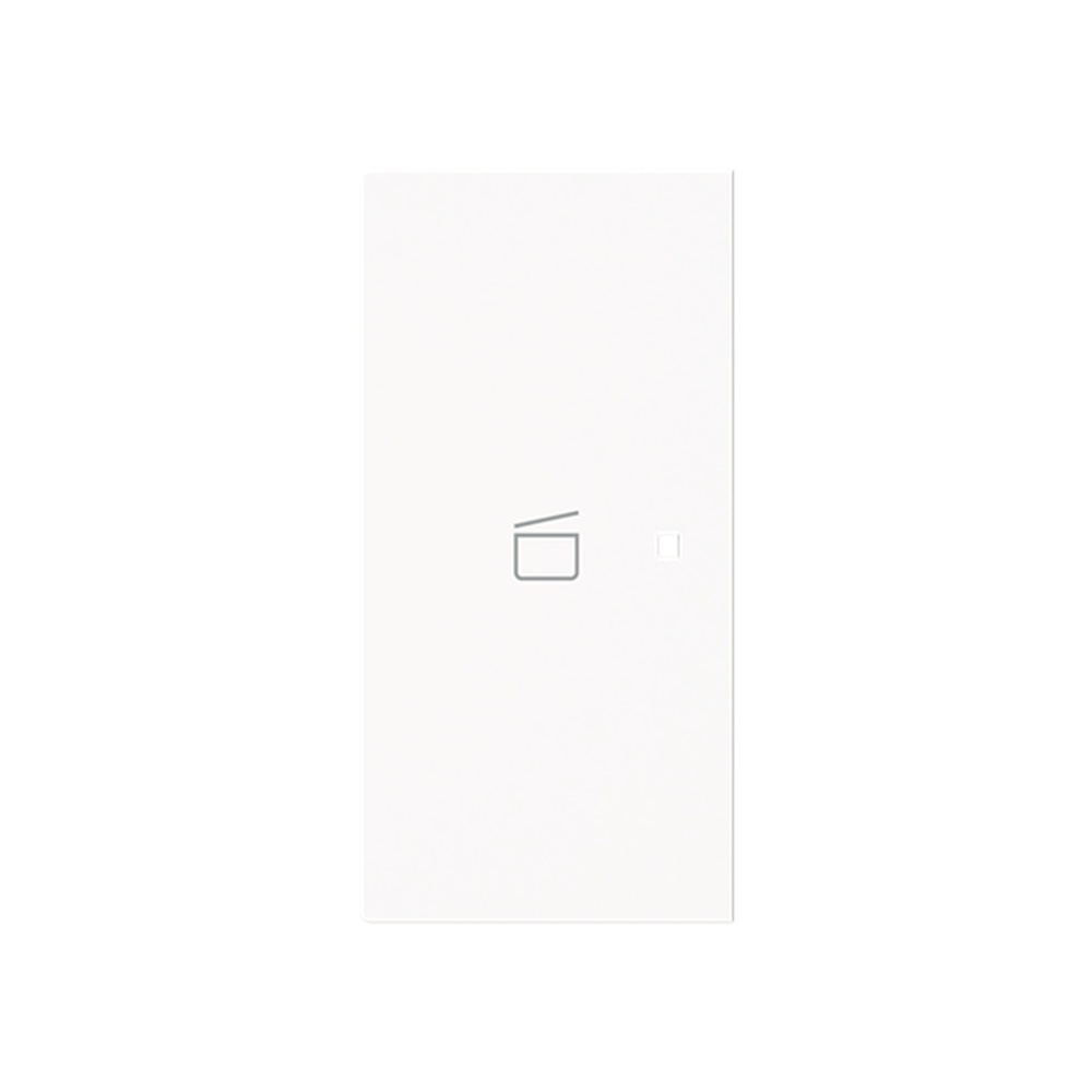 Busch-Jaeger Wippe 6233-21-44M Typ 2CKA006220A0969