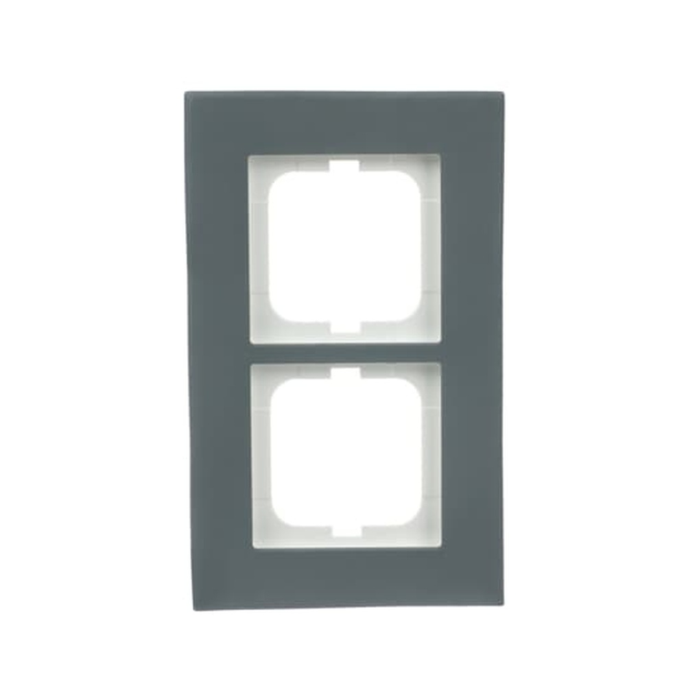 Busch-Jaeger Abdeckrahmen 2fach 1722-815 Nr. 2CKA001754A4821