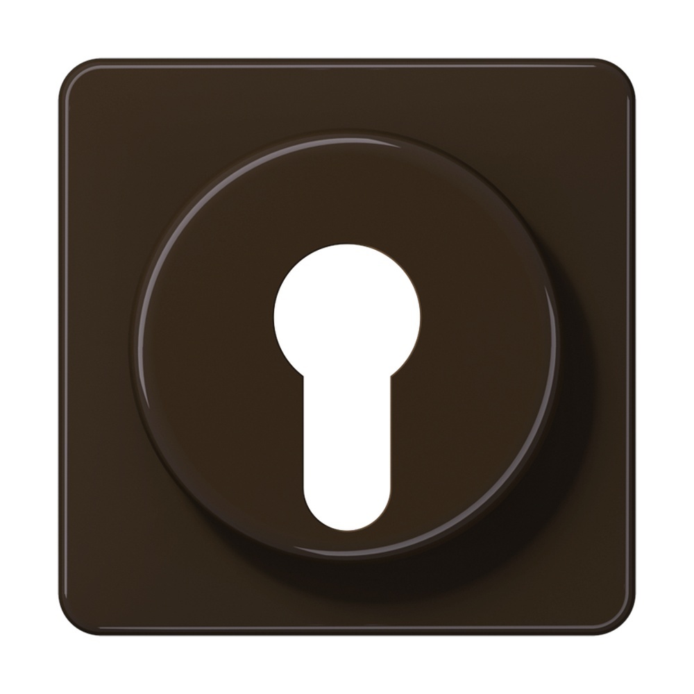 Jung Abdeckung Schlüsselschalter CD 528 BR