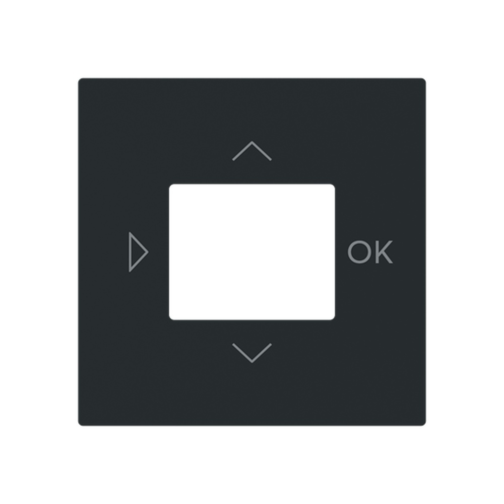 Busch-Jaeger Zentralscheibe 6435-45M Typ 2CKA006430A0453