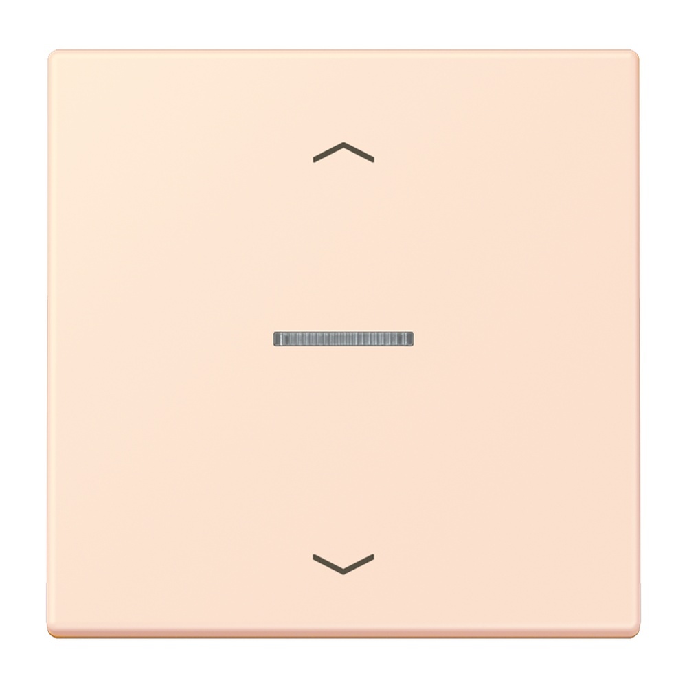 Jung Wippe mit Lichtleiter LC101KO5P226