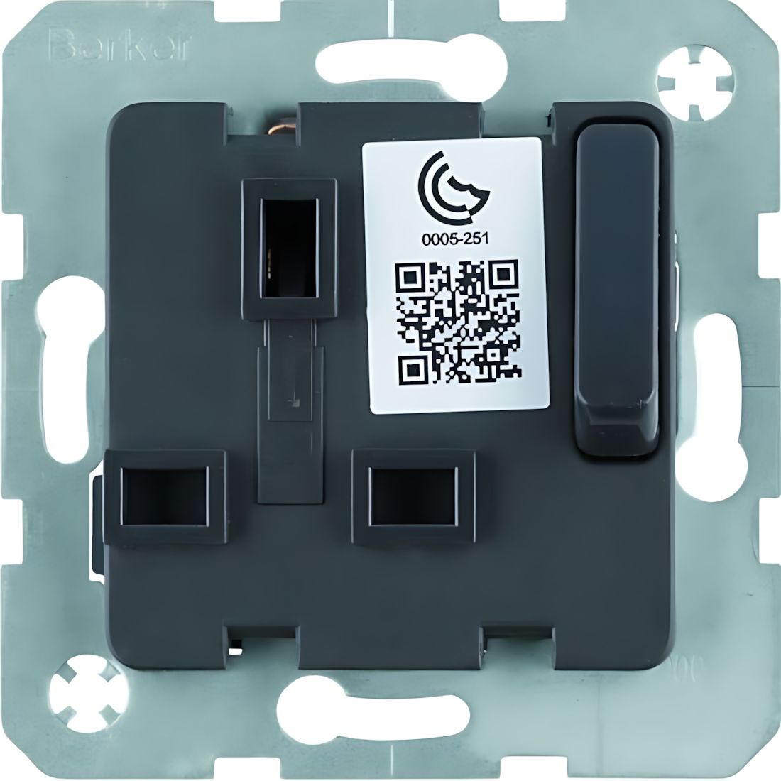 Berker Steckdosen Einsatz 53420216