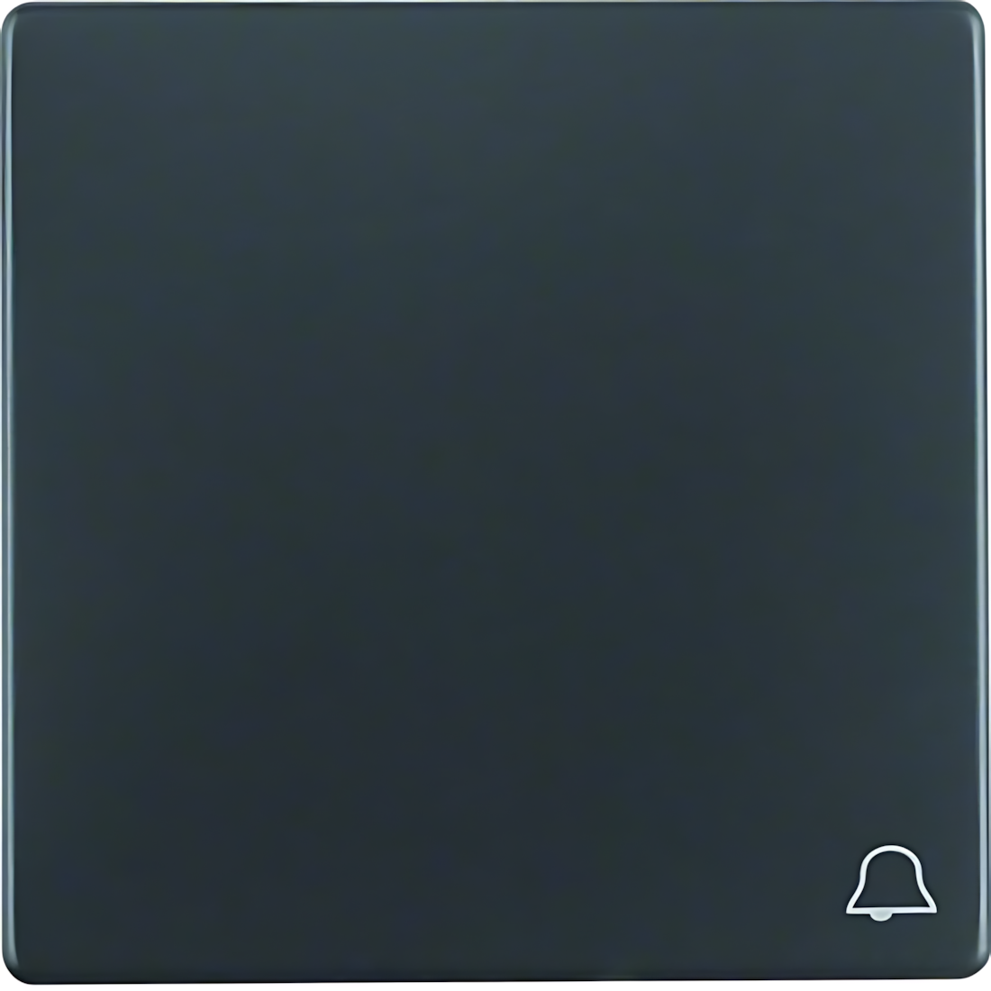 Berker Wippe 16206056