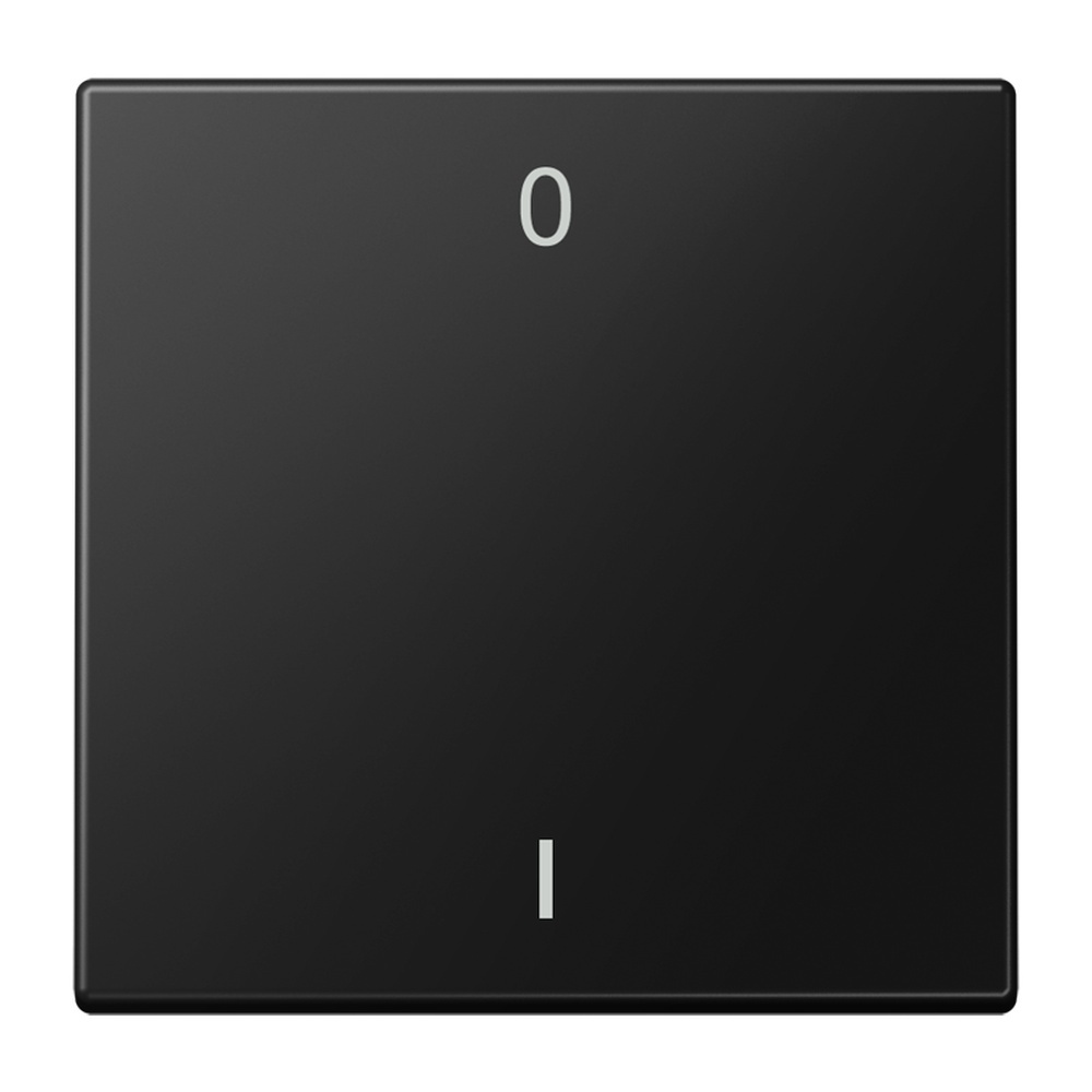 Jung EnOcean Funk Wandsender 2kanalig ENOLS990-01SWM