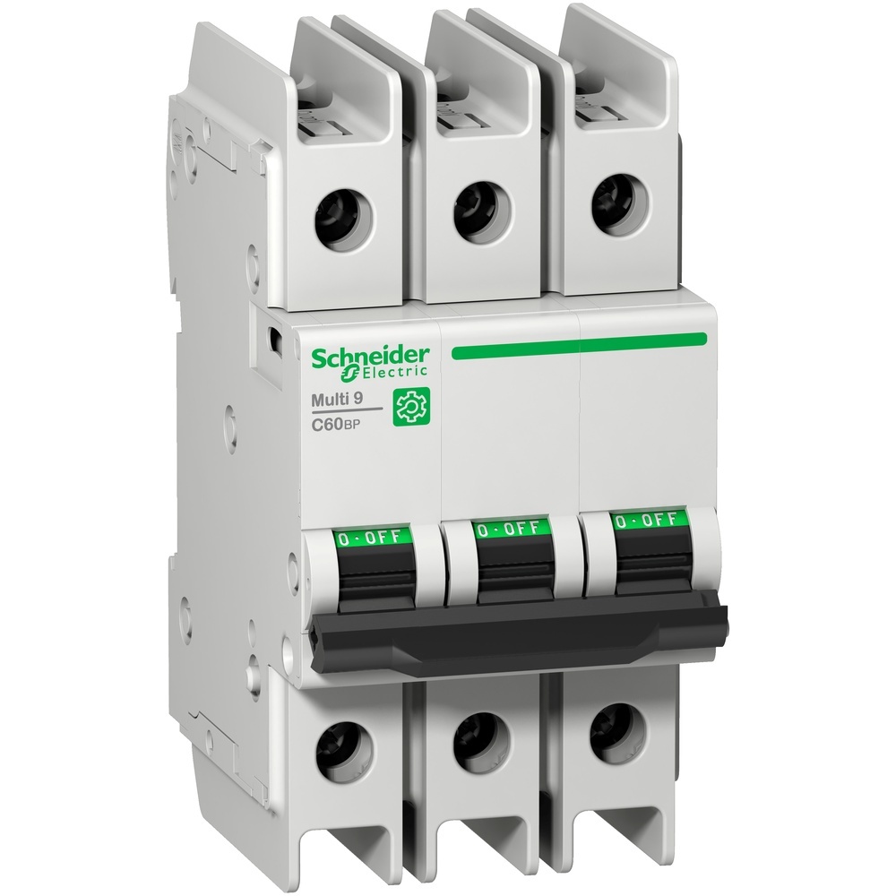 Schneider Electric LS Schalter M9F42310