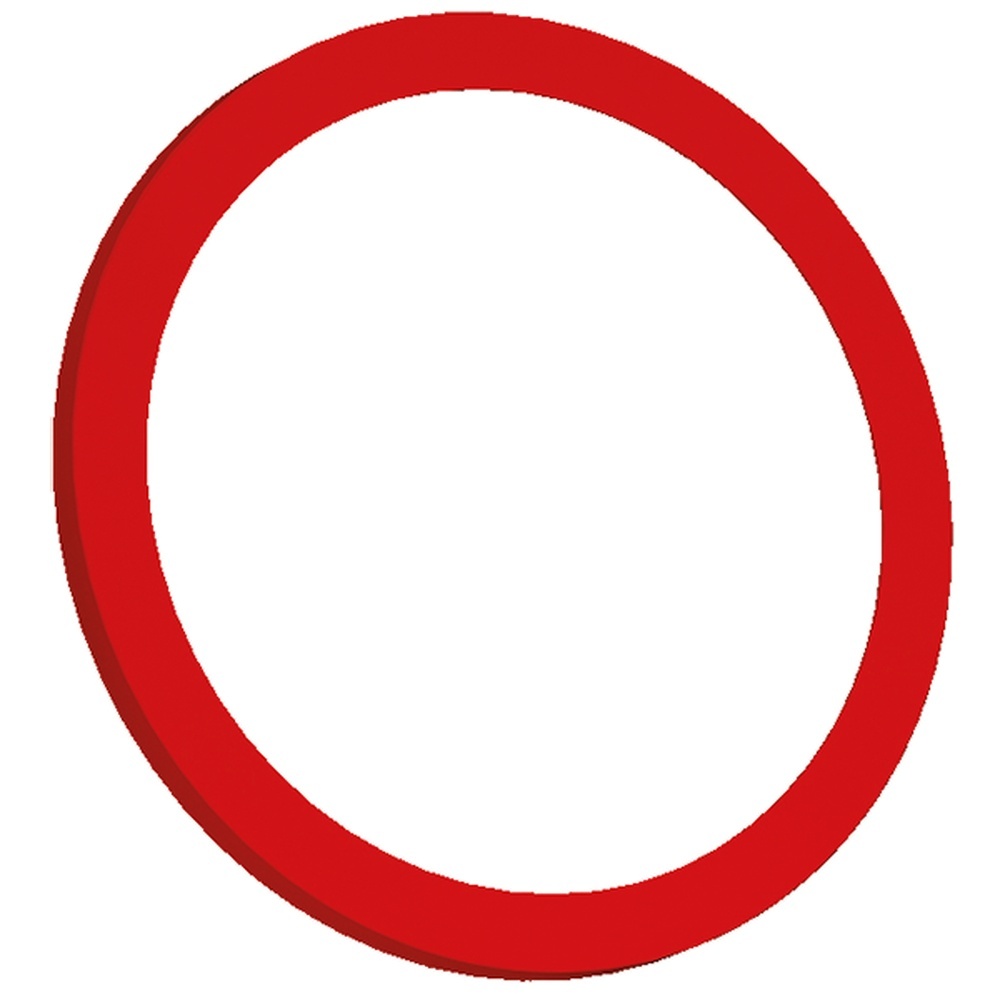 Bachmann Zierringset 926.200