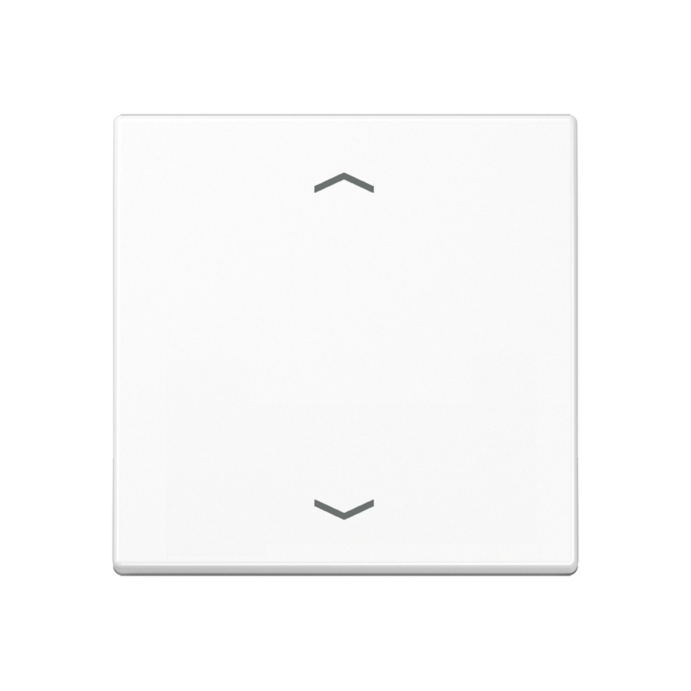 Jung Steuertaste A1700PWW