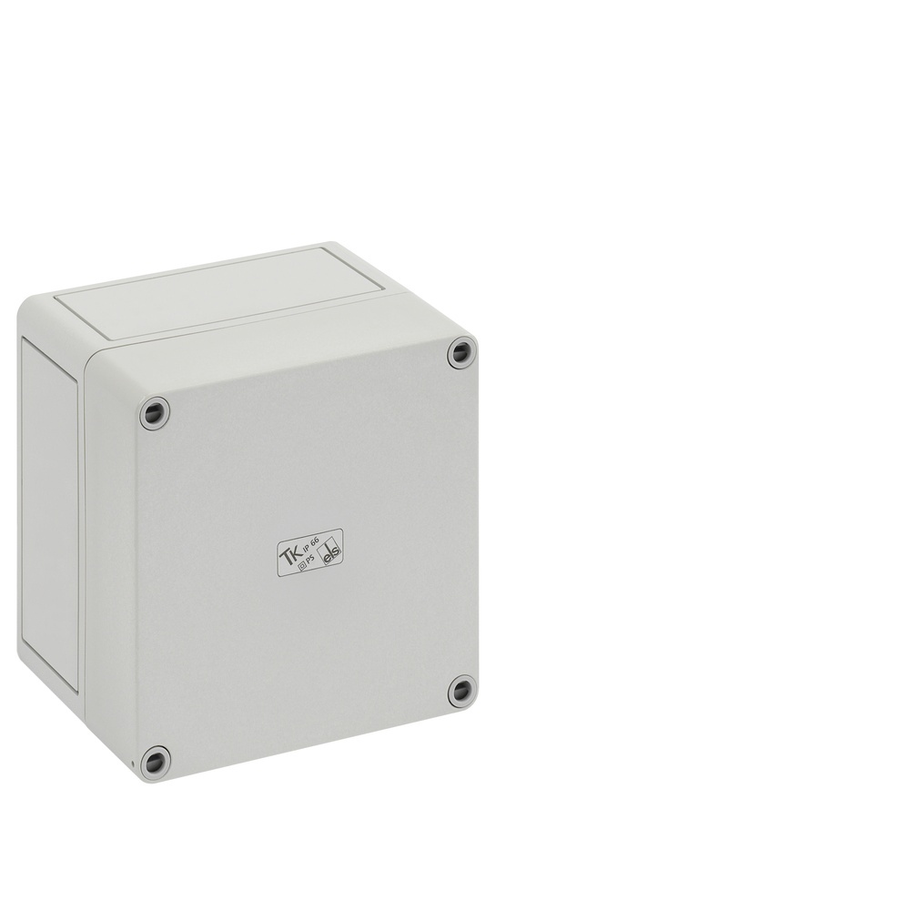 Spelsberg Leergehäuse 11090501 Typ TK PS 1313-10-o