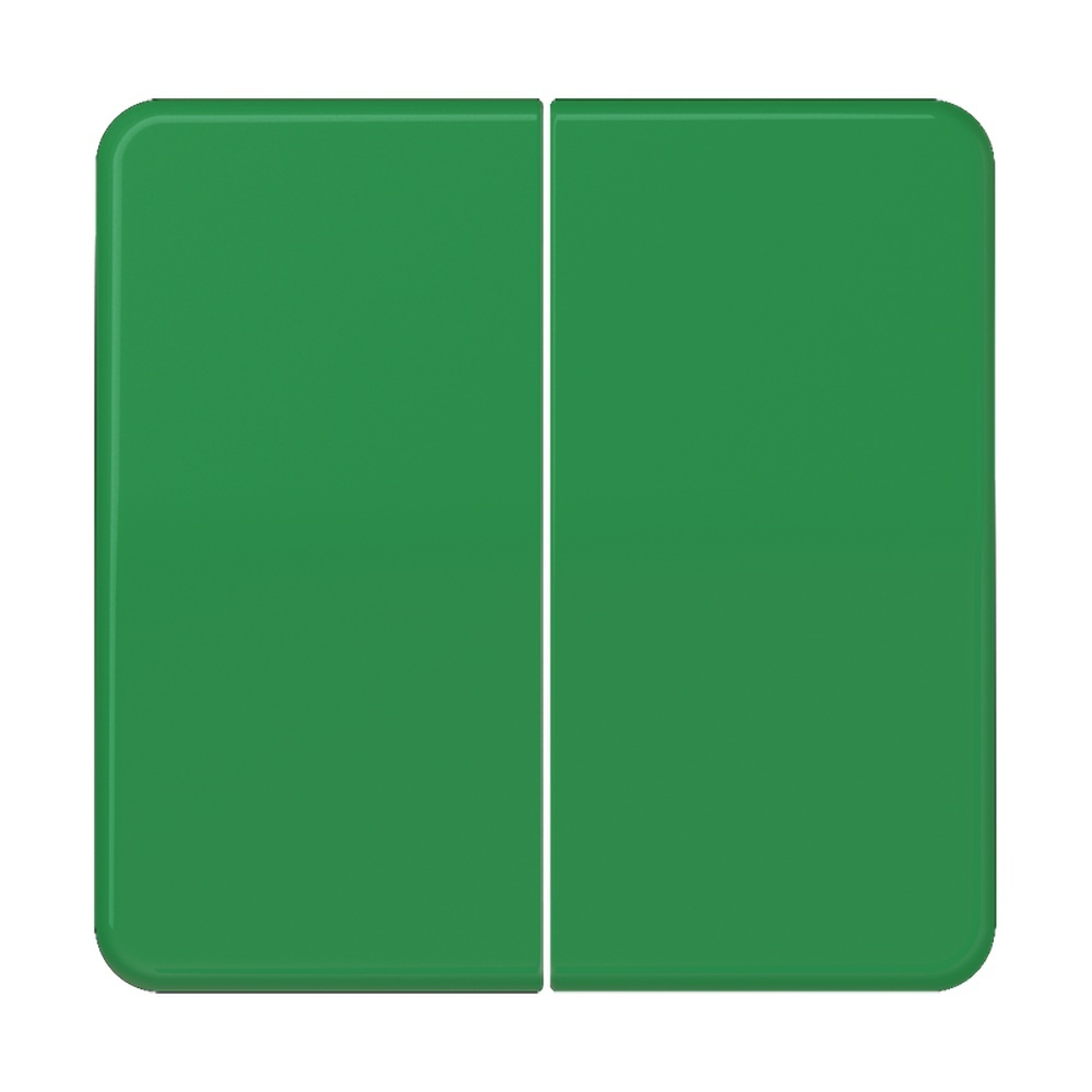 Jung Wippe 2fach CD595GN