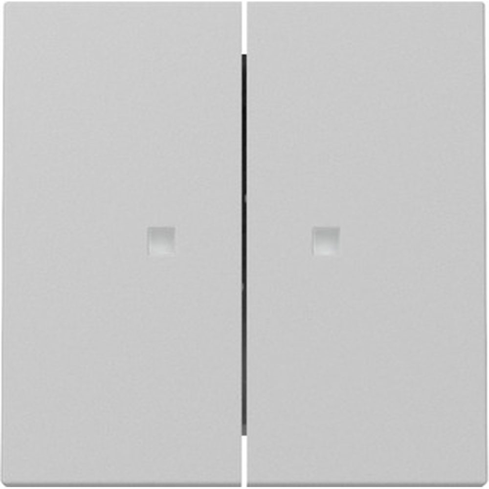 Gira Wippe 2fach 3631015