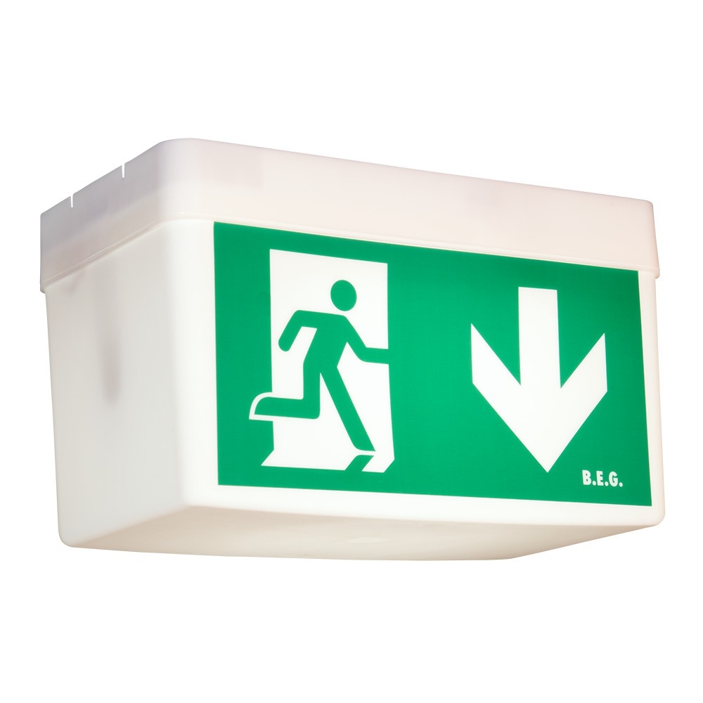 B.E.G. Brück Notleuchte 93001 Typ BD21/Kombi-GL/W/D