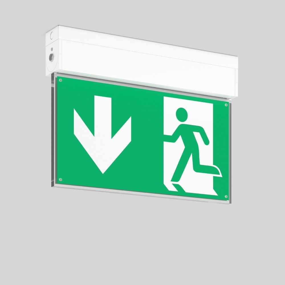 RZB Leuchten Notleuchte Wand u. Deckenleuchte 671985.002.2