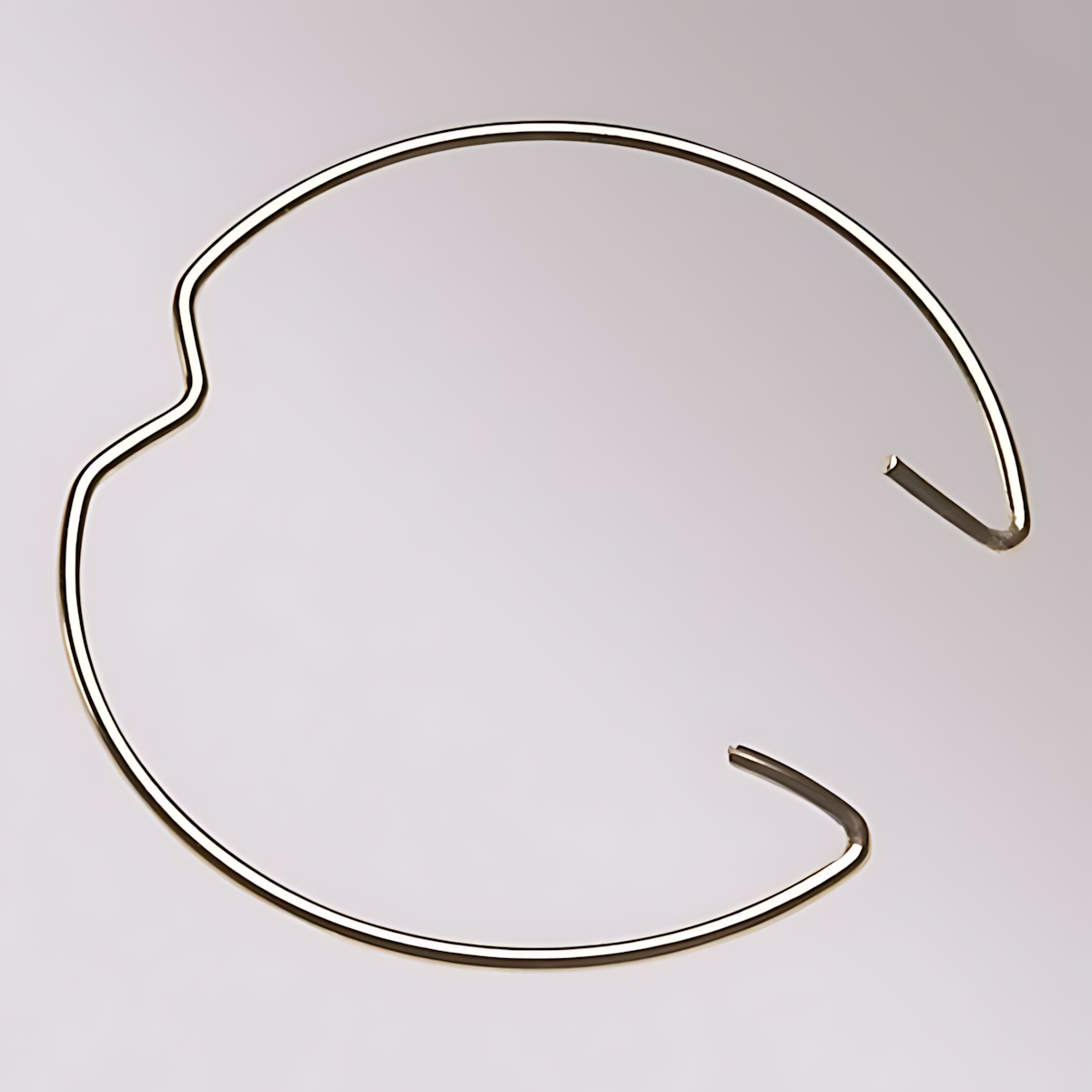 Schaum Sprengring 855303