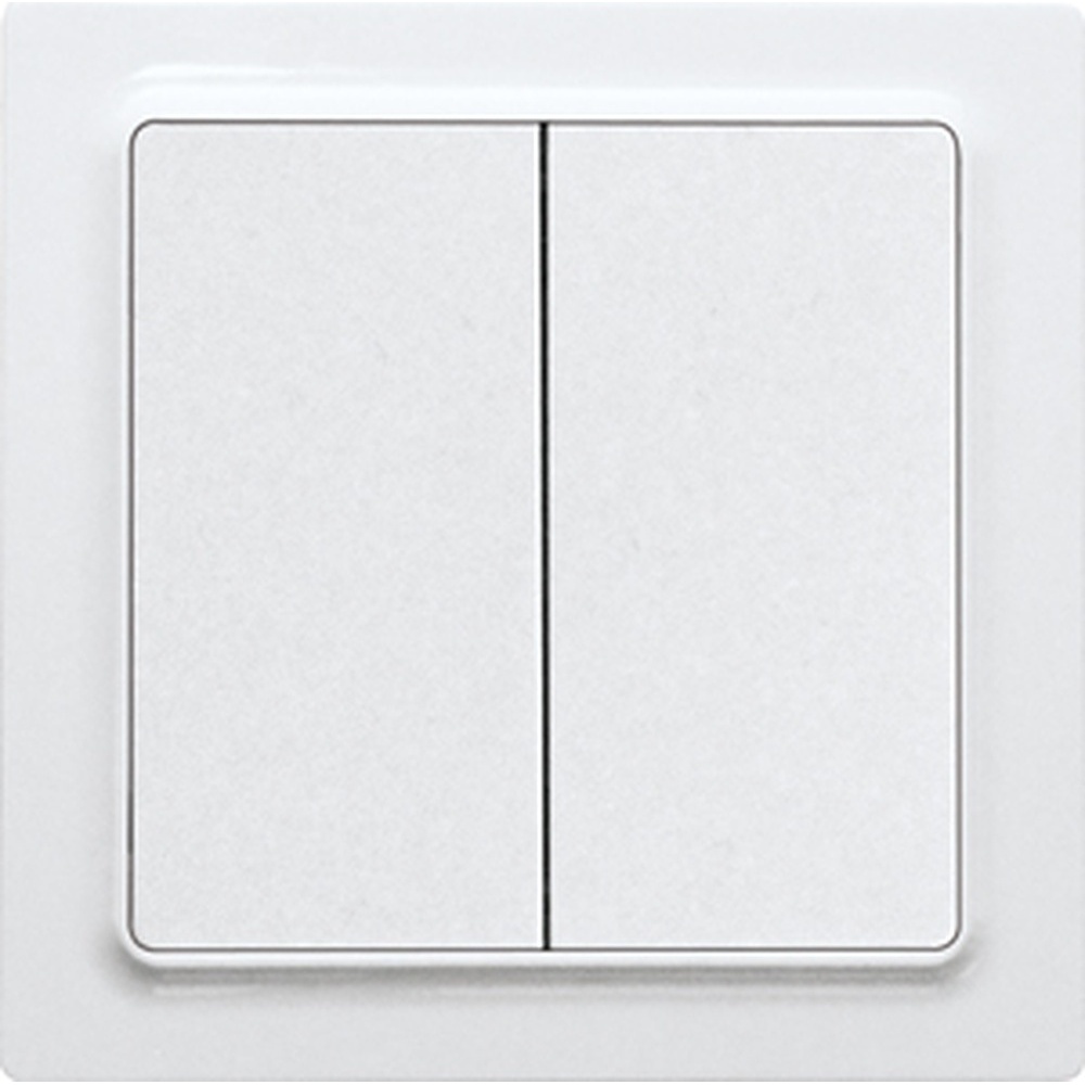 ELTAKO Funk 2Kanal Taster 30055717 Typ F2T55EH-wg