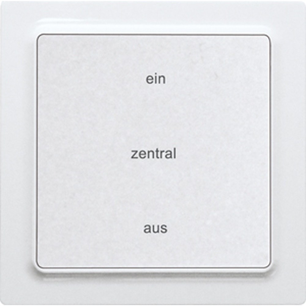 ELTAKO Funktaster 30055445 Typ F2ZT55E-pm