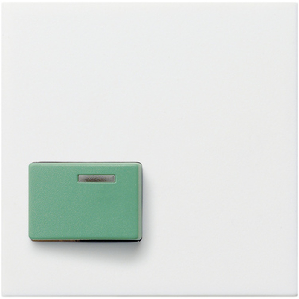 Gira Abdeckung Ackermann 024627