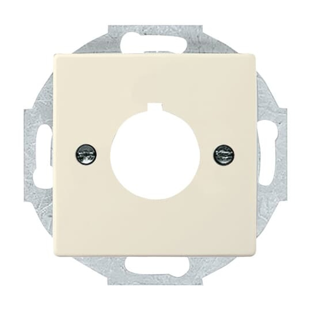 Busch-Jaeger Zentralscheibe 2533-82 Nr. 2CKA001724A4255